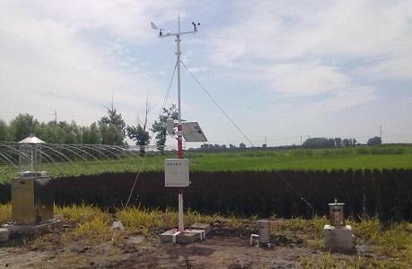 氣象站幫助溫室大棚調節氣象條件 氣象站幫助溫室大棚調節氣象條件
