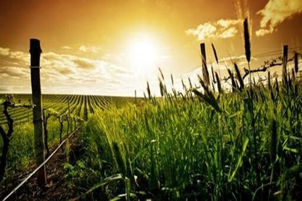 1597215754379199.jpg u=1628197412,3445104544&fm=26&gp=0_副本.jpg