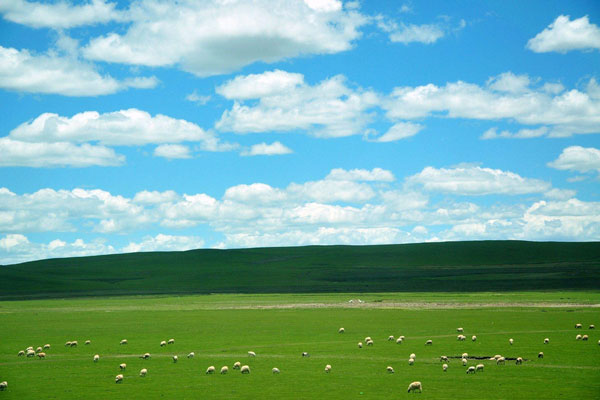 光伏太陽能環(huán)境監(jiān)測系統(tǒng)