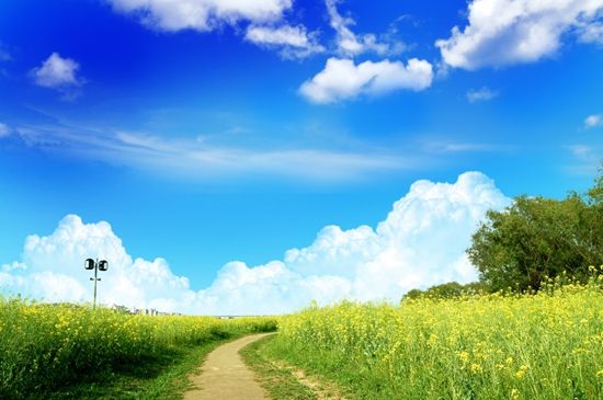 小型氣象站 小型氣象站